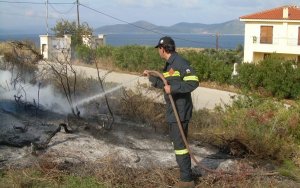 Δήμος Σάμης: Καθαρισμός οικοπέδων για αποτροπή του κινδύνου πρόκλησης πυρκαγιάς