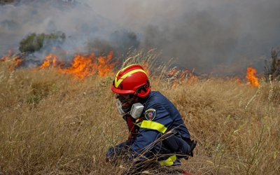 Φωτιά στα Καλλιγάτα - Την &#039;&#039;έπιασαν&#039;&#039; έγκαιρα οι πυροσβέστες