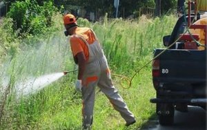 Καταπολέμηση Κουνουπιών στις Περιφερειακές Ενότητες Κεφαλληνίας  και  Ιθάκης για το 2024 – 1ος κύκλος