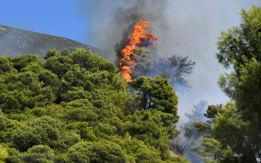 Πυροσβεστική: 51 δασικές πυρκαγιές εκδηλώθηκαν το τελευταίο 24ωρο