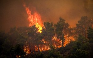 Σύλληψη στην Κεφαλονιά εποχικού πυροσβέστη για 6 εμπρησμούς!