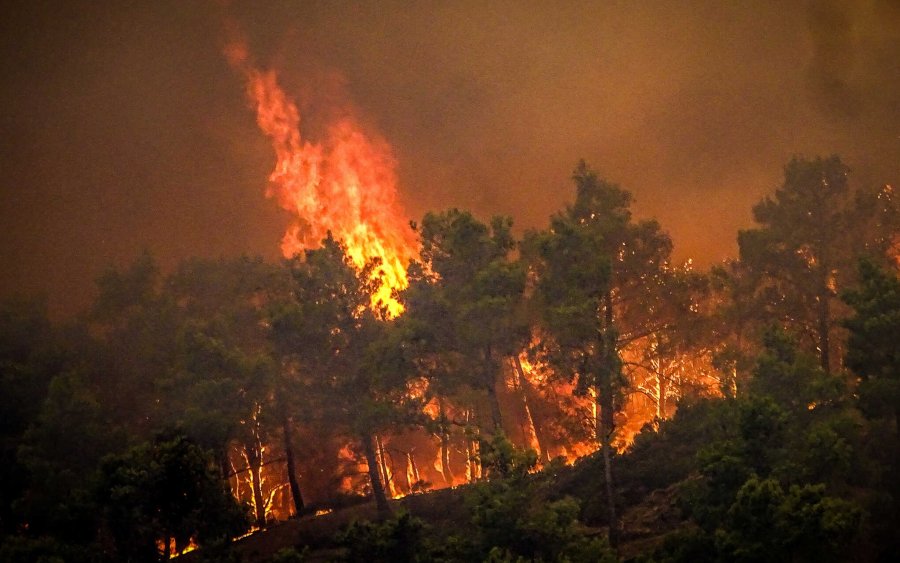 Σύλληψη στην Κεφαλονιά εποχικού πυροσβέστη για 6 εμπρησμούς!