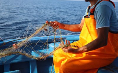 Παρέμβαση για την ερασιτεχνική αλιεία και την ανάγκη επαναφοράς ελέγχων