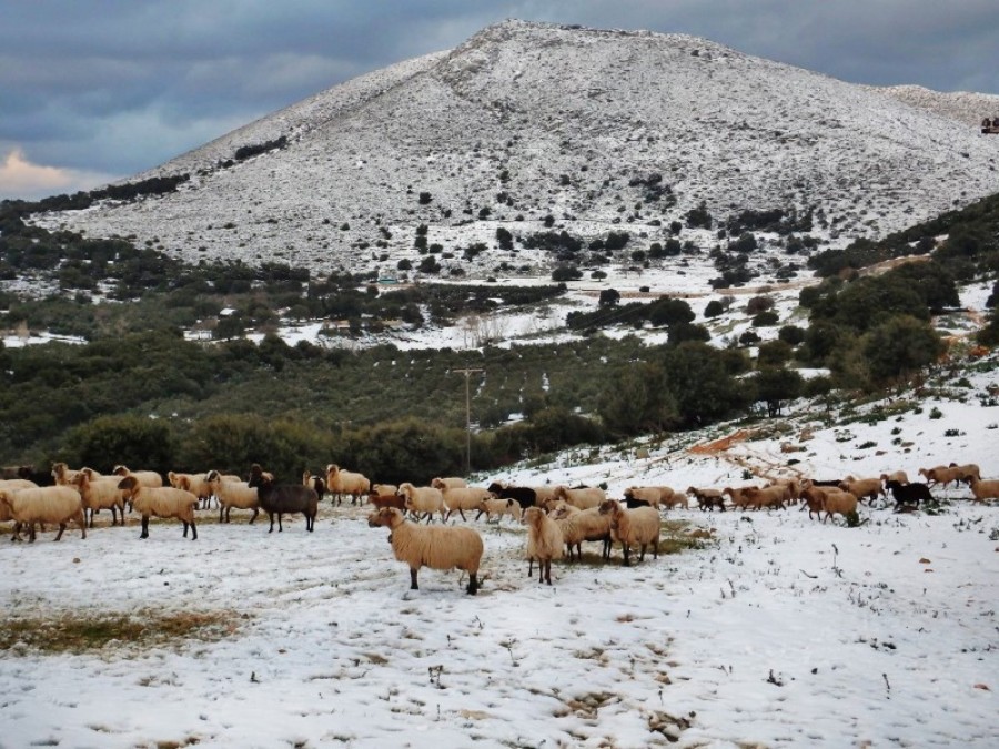 Οδοιπορικό στα χιονισμένα χωριά της Θηνιάς (εικόνες)