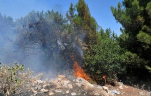 Πυρκαγιά και στη Μαλακάσα