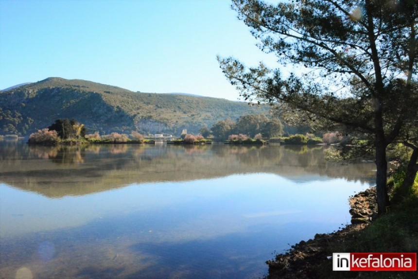 Μαγεύει ο ... ανοιξιάτικος Κούταβος!