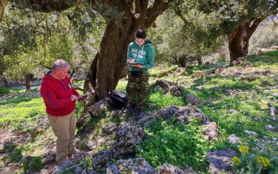 Ξεκινά από καθηγητές του ΑΠΘ η μελέτη των ημιάγριων αλόγων στην Κεφαλονιά