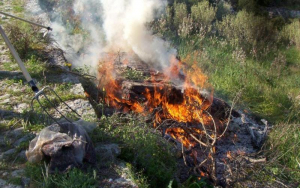 Έπεσε το πρώτο πρόστιμο στην Κεφαλονιά για παράνομη καύση χόρτων