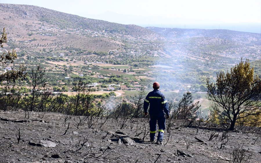 Σημαντικά αυξημένες οι δασικές πυρκαγιές στην Ελλάδα το πρώτο τρίμηνο του 2022