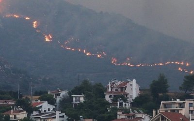 Φωτιά στην βορειοανατολική Αττική: Σκληρή μάχη σε δύο μέτωπα, Γραμματικό και Καλλιτεχνούπολη