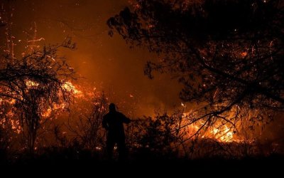 Μικέλης Μαφρέδας: Ευχαριστήριο σε όσουν συνέδραμαν στην κατάσβεση της πυρκαγιάς στα Σπαρτιά