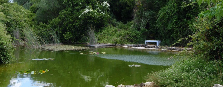 Σήμερα η εκδήλωση στον Βοτανικό Κήπο αφιερωμένη στον Ηλία Βενέζη