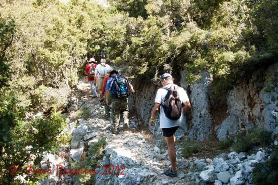 Το πρόγραμμα των διαδρομών του Ορειβατικού Συλλόγου 