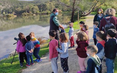 Φορέα Διαχείρισης Αίνου: Βιωματικό σεμινάριο περιβαλλοντικής εκπαίδευσης με μαθητές του 5ου Νηπιαγωγείου (εικόνες)