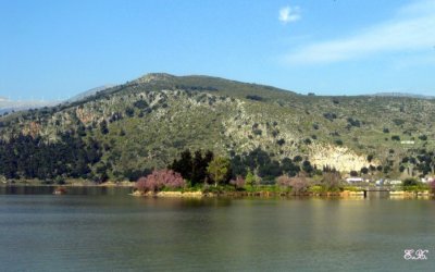 Κάτι ωραίο «ψήνεται» για τον Κούταβο...