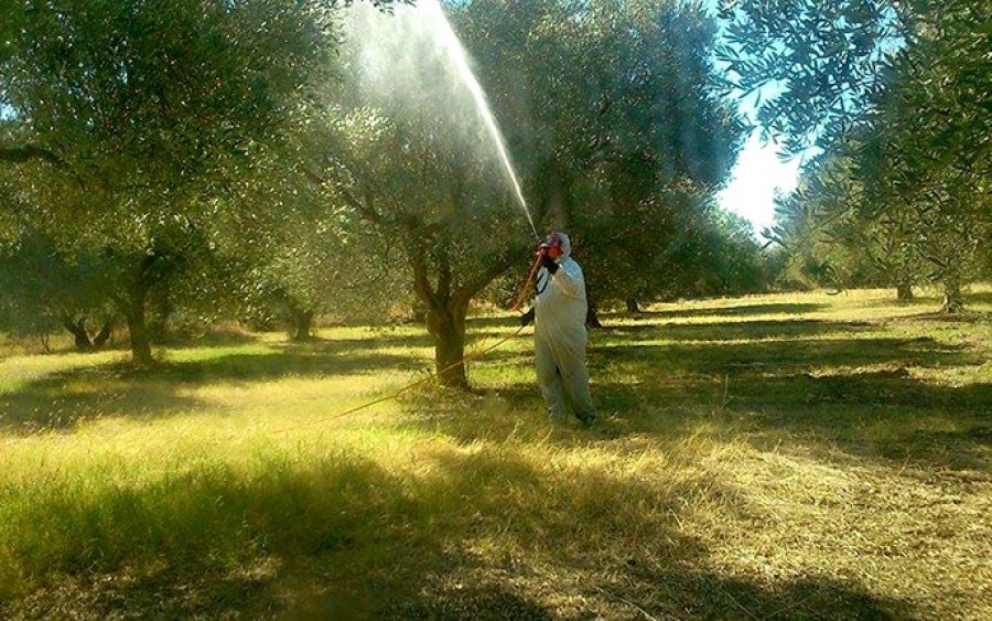 Κεφαλονιά: Μετατίθεται η ημερομηνία έναρξης του 3ου Δολωματικού Ψεκασμού Δακοκτονίας