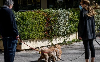 Έρευνα: Το 43% των Ελλήνων έχει κατοικίδιο, το 62% γυμνάζεται και το 33,5% καπνίζει