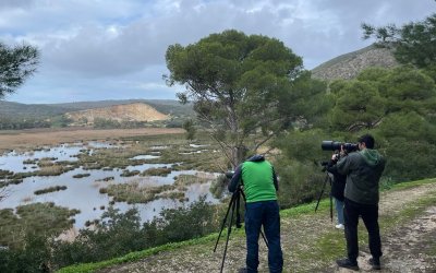 ΟΦΥΠΕΚΑ: Ολοκληρώθηκαν οι Μεσoχειμωνιάτικες Καταμετρήσεις Υδρόβιων και Παρυδάτιων Πουλιών