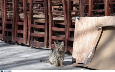 Επίδομα 534: Tην επόμενη βδομάδα πληρώνονται αναστολές Φεβρουαρίου, ΣΥΝΕΡΓΑΣΙΑ και μονομερείς υπεύθυνες δηλώσεις