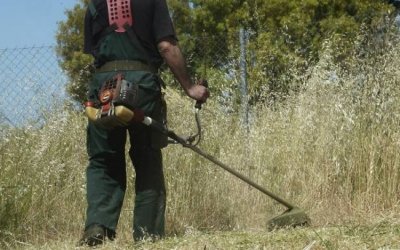 O Δήμος Αργοστολίου καλεί τους ιδιοκτήτες οικοπέδων και ακάλυπτων χώρων για τον καθαρισμό τους