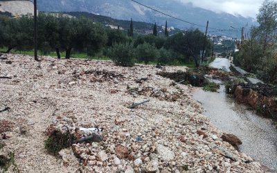 Διαμαρτυρία του Προέδρου των Μουσάτων για τη μη συζήτηση της κακοκαιρίας που έπληξε την Κεφαλονιά σε έκτακτο Π.Σ