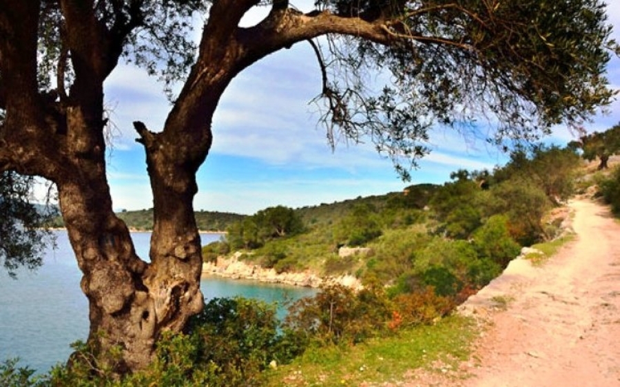 Ασφαλτοστρώσεις δρόμων στην Ιθάκη