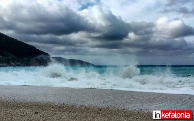 Μύρτος, αγριεμένος και … υπέροχος!