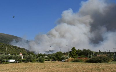 Πάτρα: Συνελήφθη άνδρας για τη φωτιά στην περιοχή Καλλιθέα