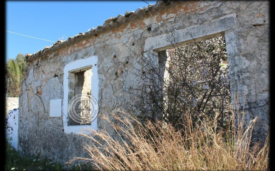 Λύκειο Ελληνίδων: Αφιέρωμα στους σεισμούς του 1953 - Αλλαγή ημερομηνίας