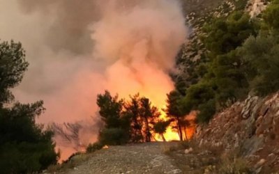 Πυρκαγιά στην Κάρυστο: Απανθρακωμένος εντοπίστηκε ο 41χρονος αγνοούμενος βοσκός