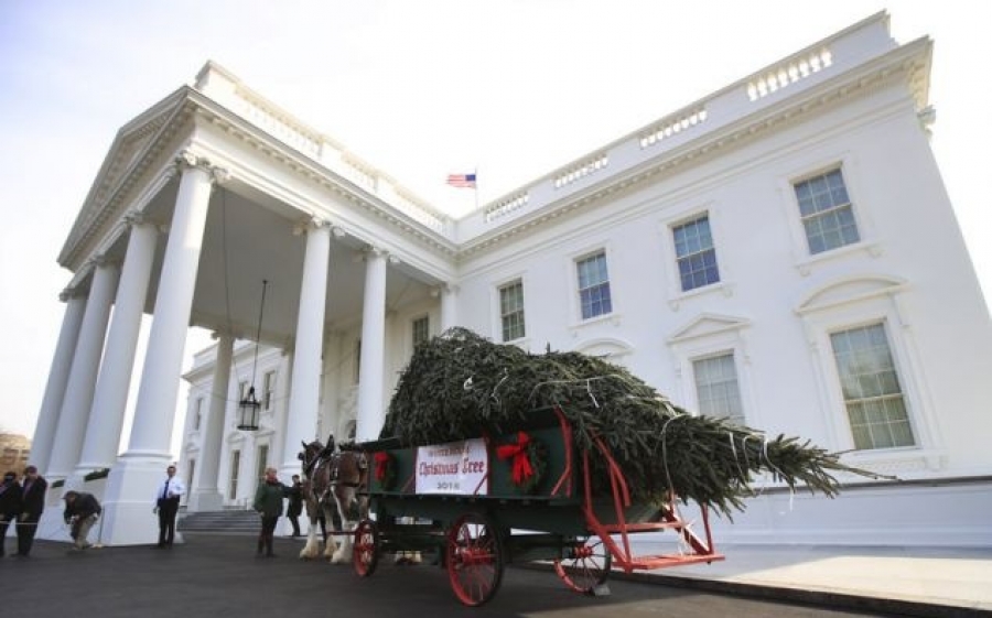 Χριστούγεννα στον Λευκό Οίκο -Ο Τραμπ και η εντυπωσιακή Μελάνια υποδέχθηκαν το δέντρο [εικόνες]