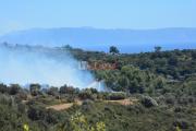 Υπό έλεγχο η φωτιά στα Κοριάνα Λειβαθούς (εικόνες)