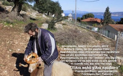 Ανήμερα την Πρωτοχρονιά, οι χωρικοί και οι τσοπαναραίοι στην Κεφαλονιά… «εθιμοτυπούσαν» για την οικιακή οικονομία τους